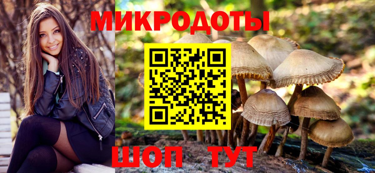 Кировск  Псилоцибиновые грибы GOLDEN TEACHER  Вход с VPN  Псилоцибиновые грибы мицелий 
